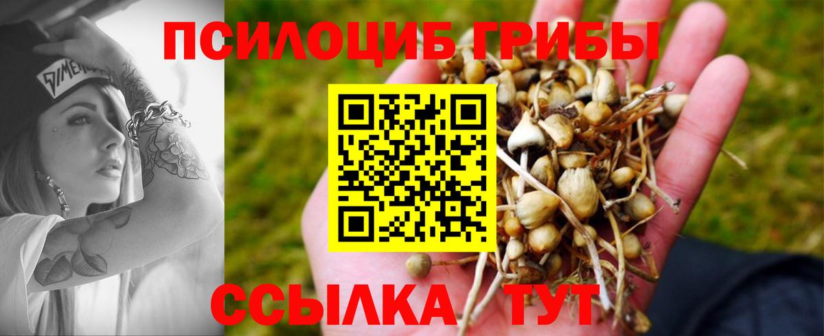 Лесосибирск  Псилоцибиновые грибы Cubensis  Вход с VPN 